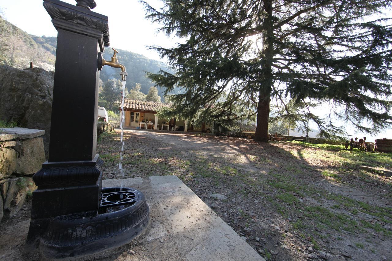 Fonte Di Zeno Bed & Breakfast Marciana  Exterior photo